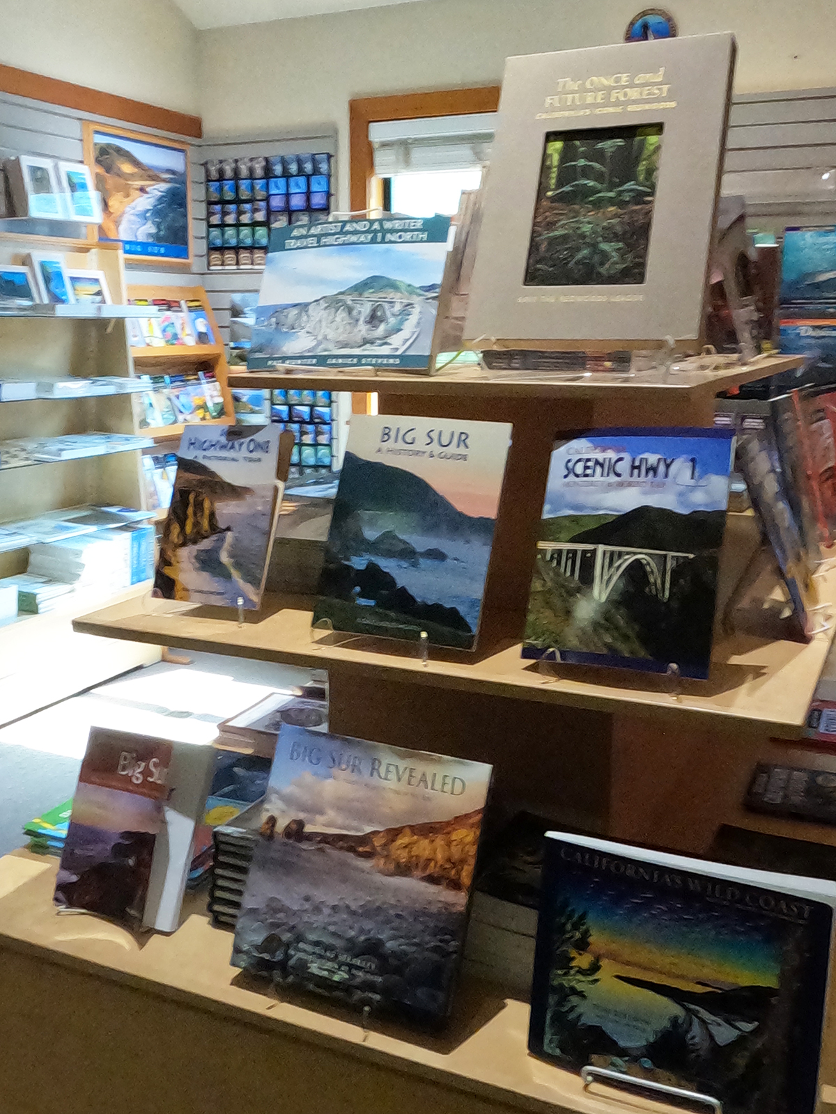 books on a shelf of scenic highway 1