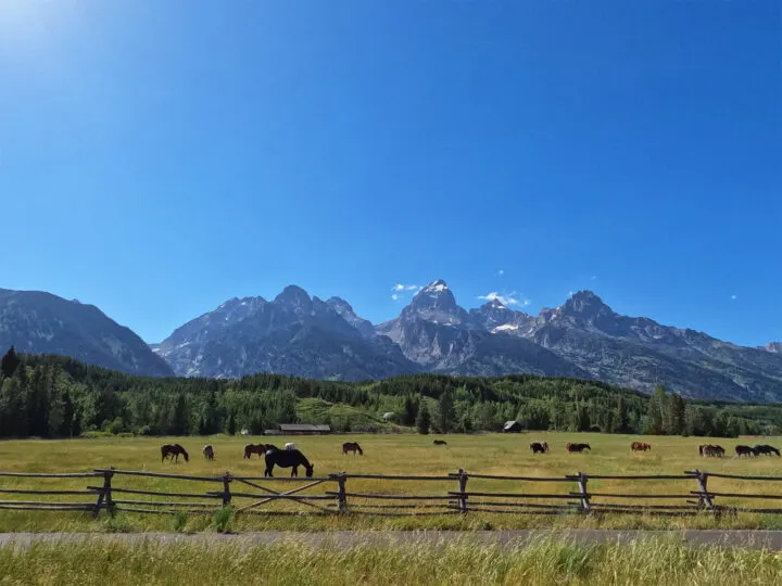 jagged mountains trees and pasture with horses grazing