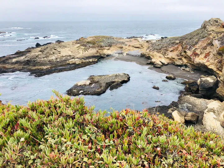 things to do Big Sur view of point lobos reserve with green succulents rocky shore along cove on foggy day