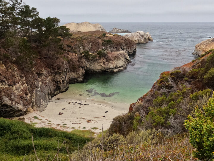 activities Big Sur view of beach with seals and large cliffs on cloudy day