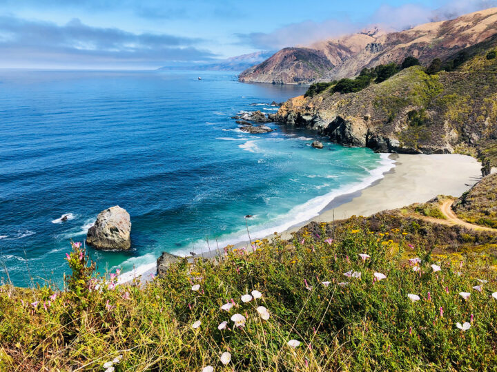Big Sur view of rugged coastline with wild flowers beach blue water