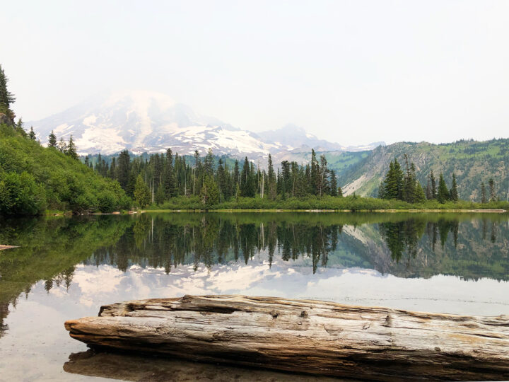 bench lake mt rainier view of log with reflective lake and mountain in distance