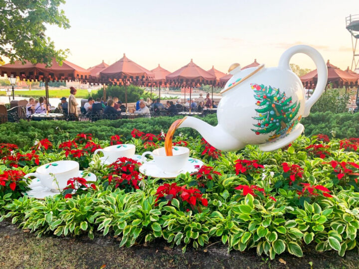 warm us destinations in December teapot with holiday flowers and dinner in distance