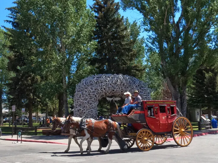 carriage ride in downtown Jackson