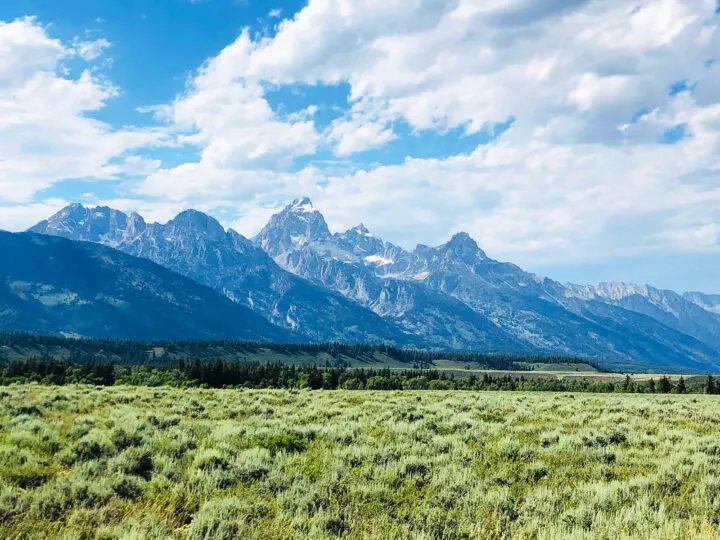 grand teton view of mountains on cloudy day with field in foreground