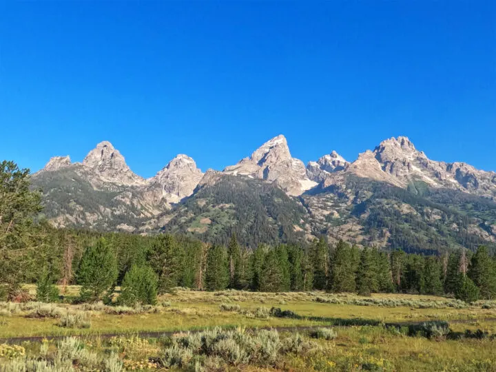 grand tetons view of mountains and trees and field blue sky