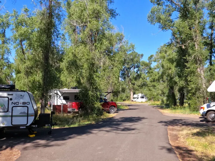 campground with trees and path