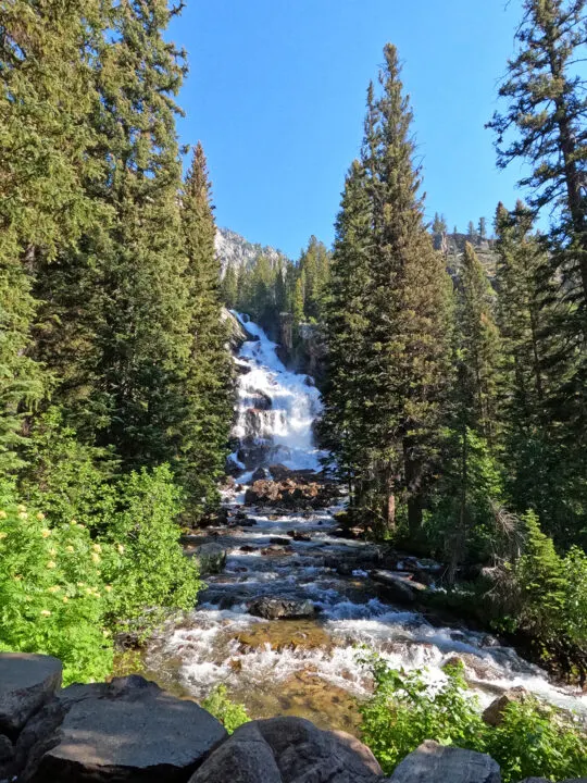 view of hidden falls Jenny lake waterfall with water rushing through trees