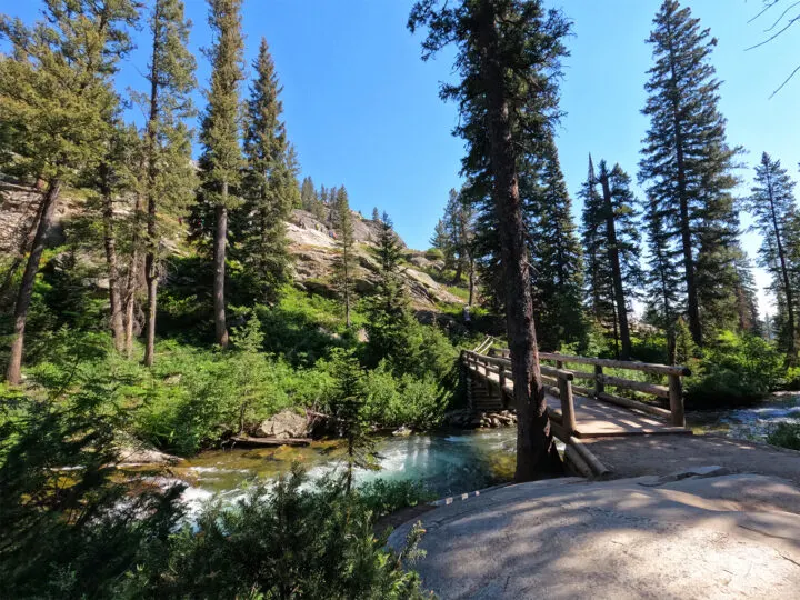 grand teton hidden falls hike over bridge and stream with tall trees