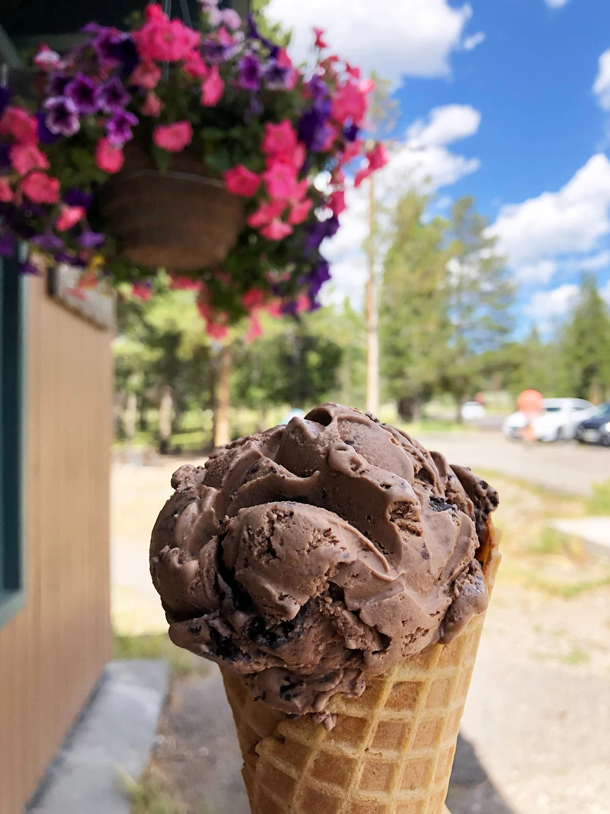 chocolate ice cream cone with flowers in background a must see in grand teton national park