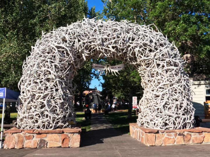 giant arch made of antlers in park