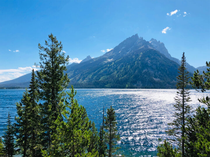 trees with blue lake and mountain in distance overlook is a must see in grand teton national park