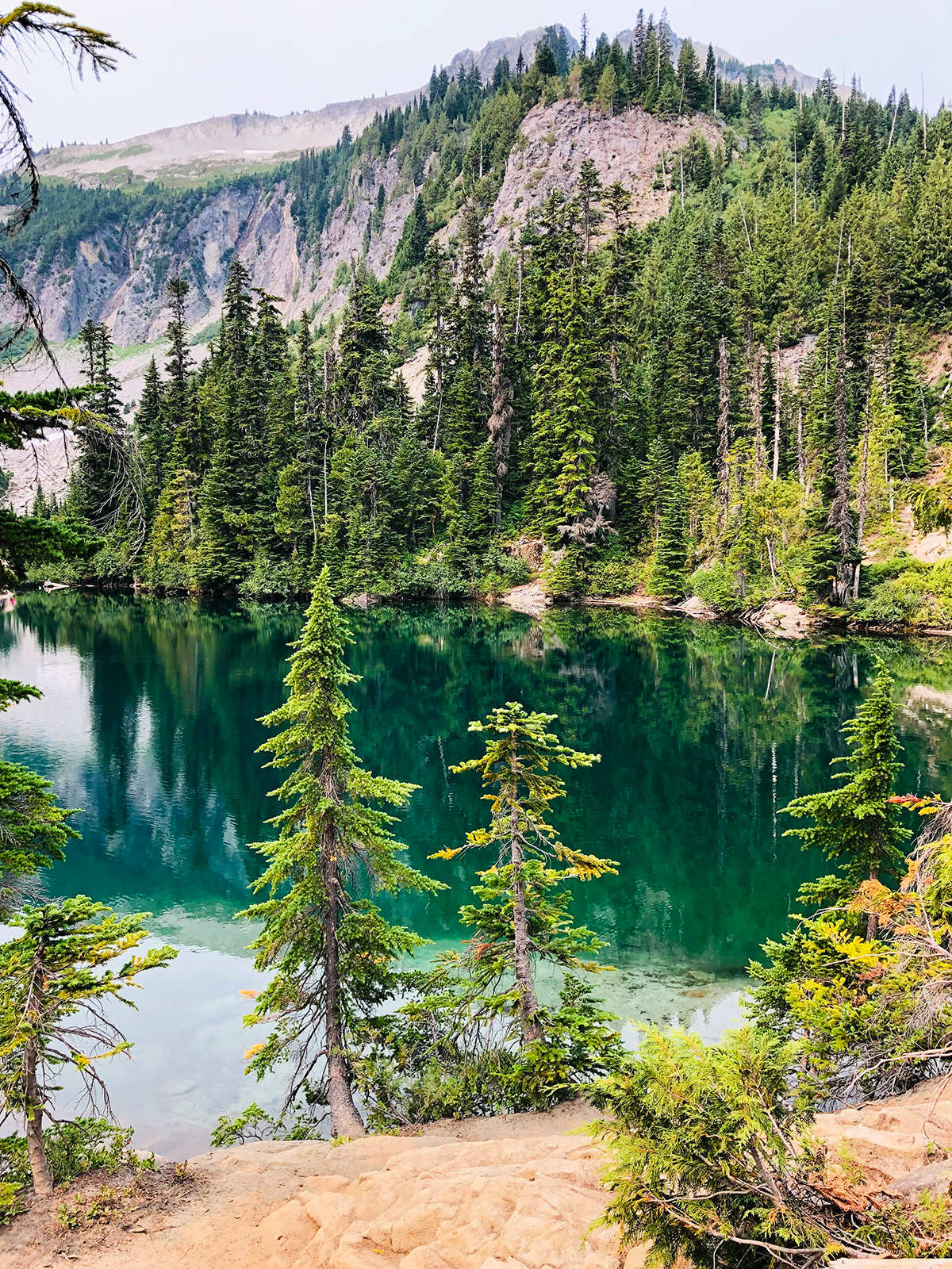 teal water lake with trees surrounding it