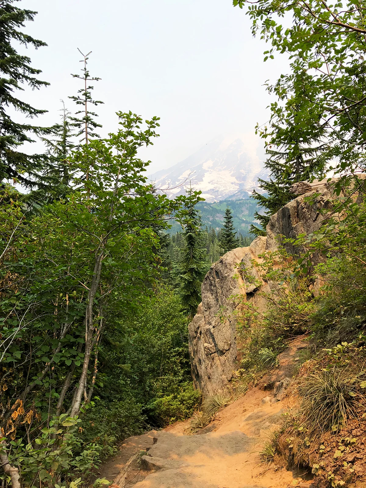 hiking trail with trees and mountain in distance on hazy day