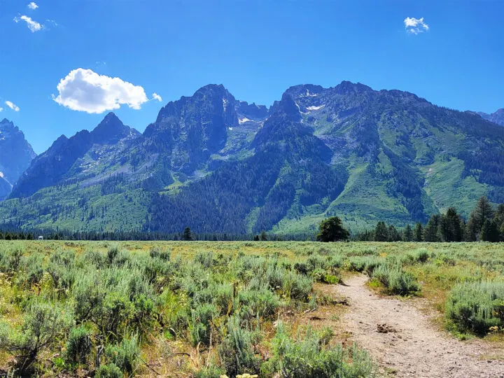 cathedral group turnout grand teton mountains and field