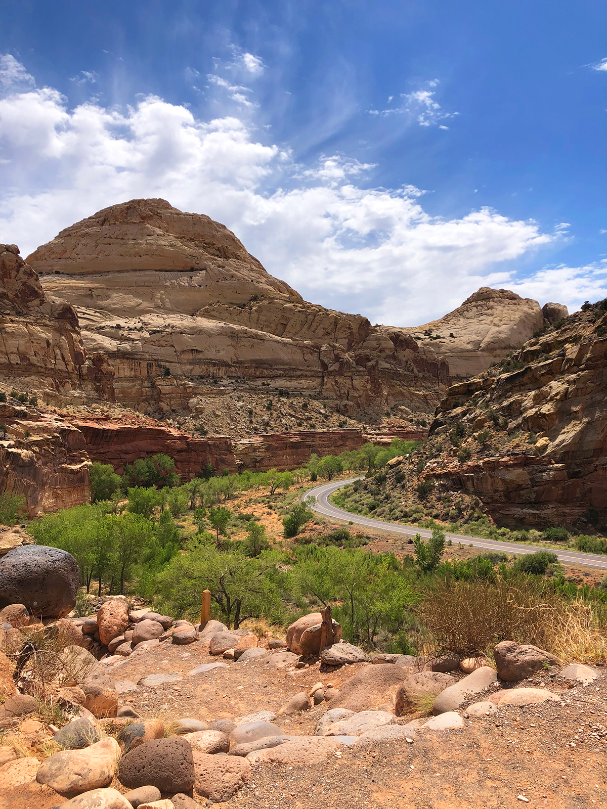 capitol reef road and hiking trail with greenery and sandstone cliffs