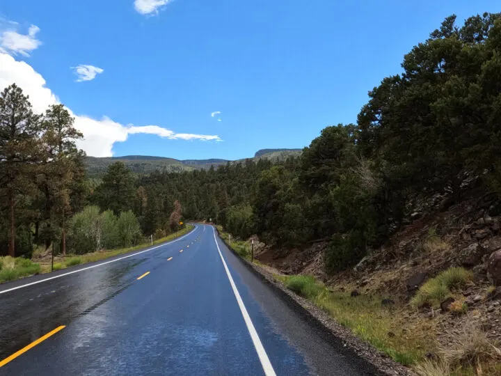 Mighty 5 Utah national parks view of road through forest