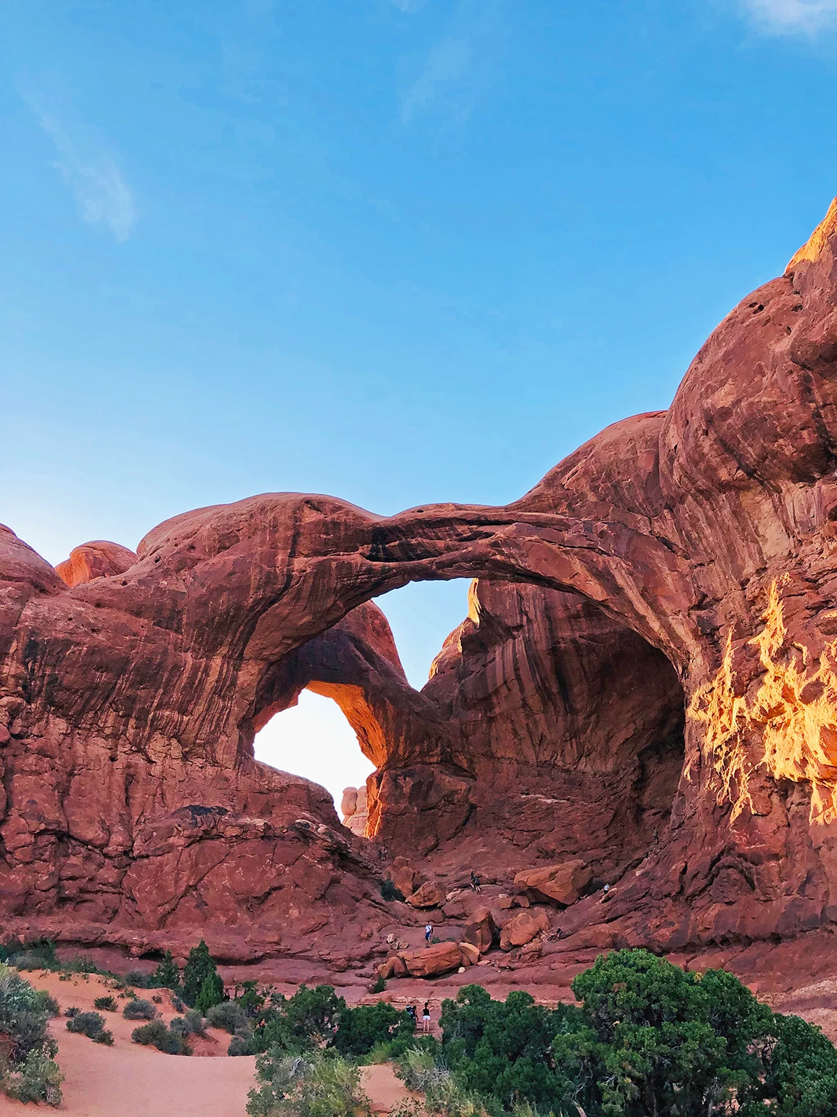 the windows arches national park view of large arch from rock with trees and blue sky