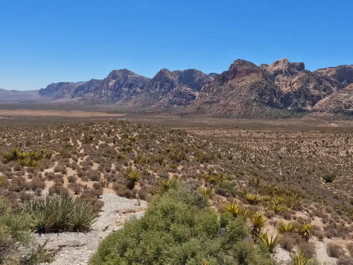 high point overlook red rock canyon scenic drive view of desert floor with rocky peaks ahead