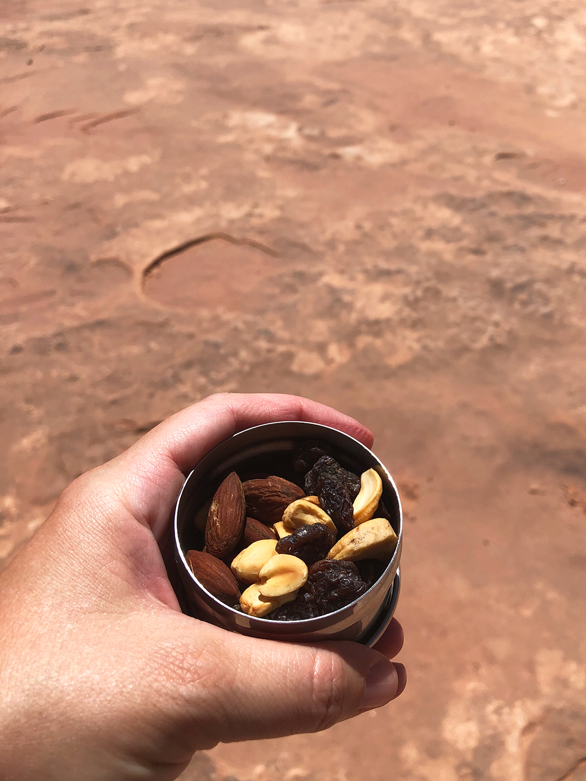 close up of hand holding trail mix in container