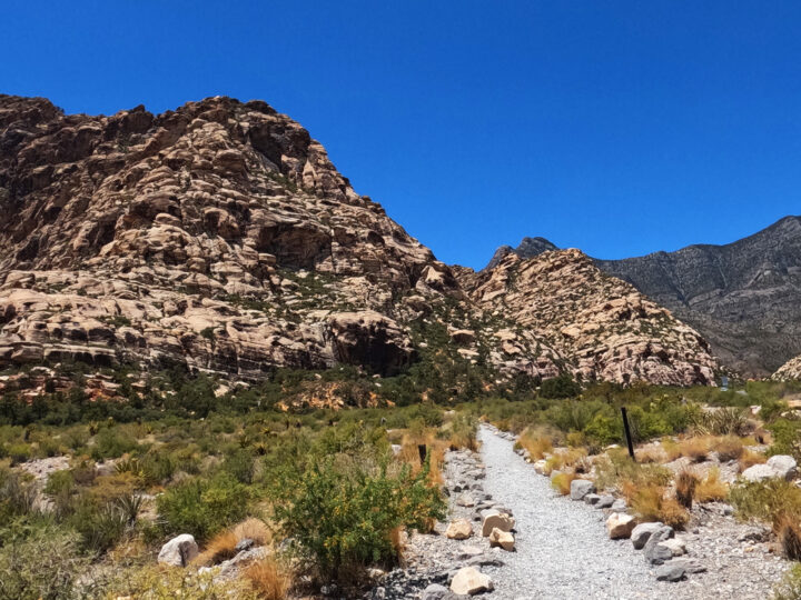 Red rock canyon scenic drive reservation and hiking trail through desert