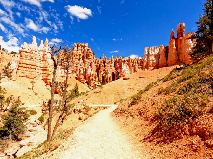 Bryce Canyon national park utah view of hiking trail with trees and hoodoos surrounding it