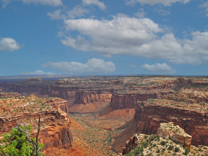 massive canyon with puffy clouds on a Utah national parks road trip