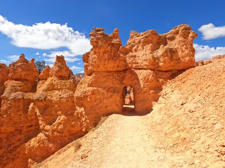 Utah mighty 5 road trip itinerary view of hiking trail through orange rocks with blue sky