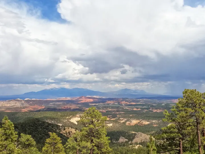 Dixie National Forest UT Scenic Byway 12 view of trees mountains and clouds in sky