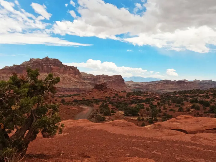 capitol reef national park view of red rock layers with desert bushes