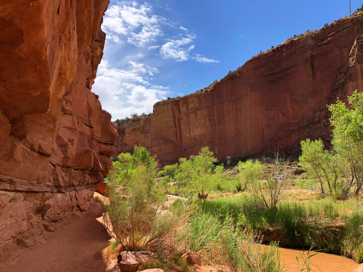 hickman bridge capitol reef hiking trail view of river beside trail with tall rocks beside
