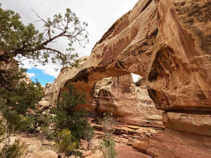 hickman bridge trail from the back side stone arch with trees beside it