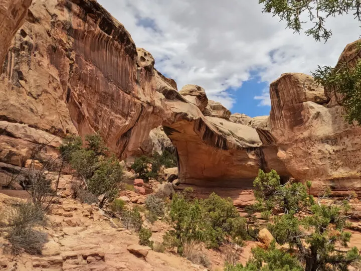 hickman bridge capitol reef view of stone arch with desert landscape