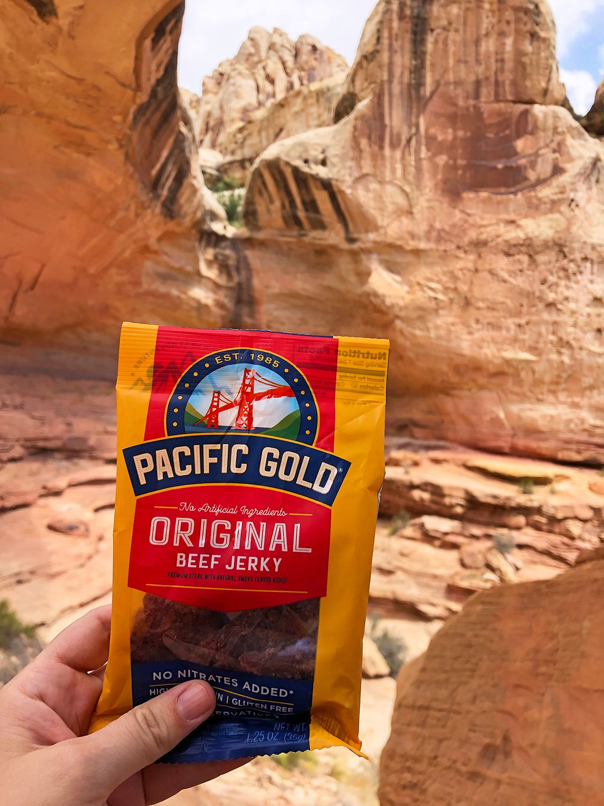 hand holding pacific golf beef jerky packet with rocky background