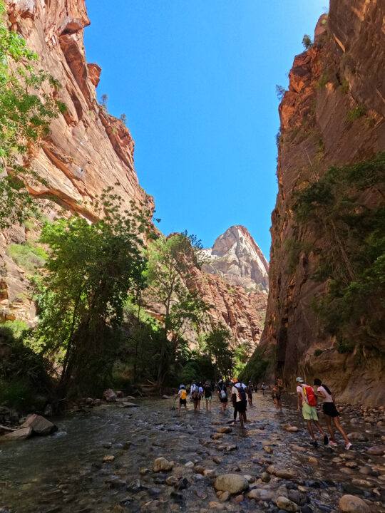 the narrows Zion canyon view of people walking through river rock with cliffs on either side