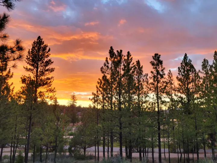 sunset behind forested trees with road in distance