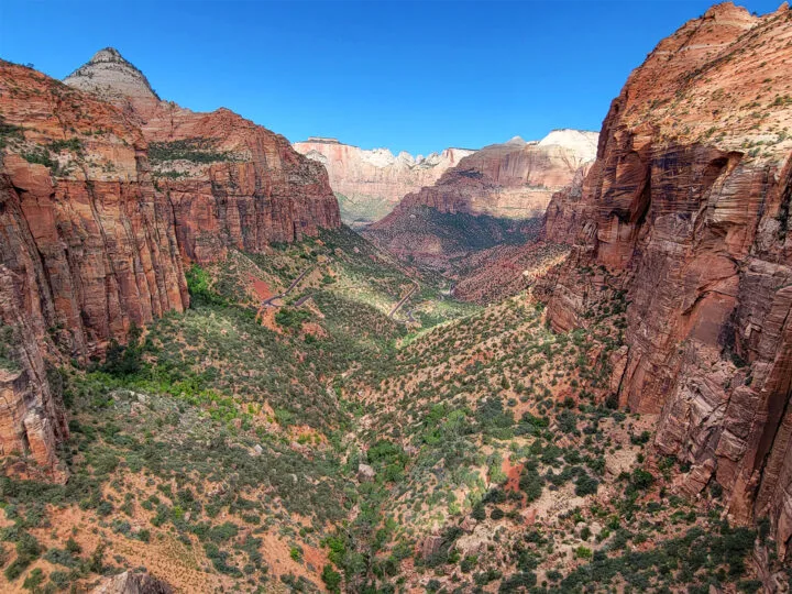 Zion with kids view of deep canyon red rock greenery on sunny day