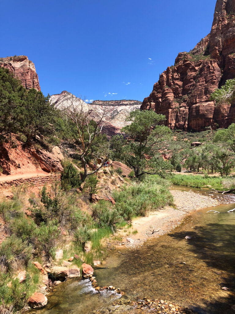 virgin river at the grotto perfect hiking trail for families view of river in red rocky canyon