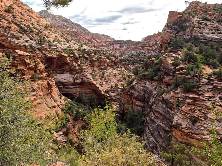 beautiful views of the canyon layered rocks