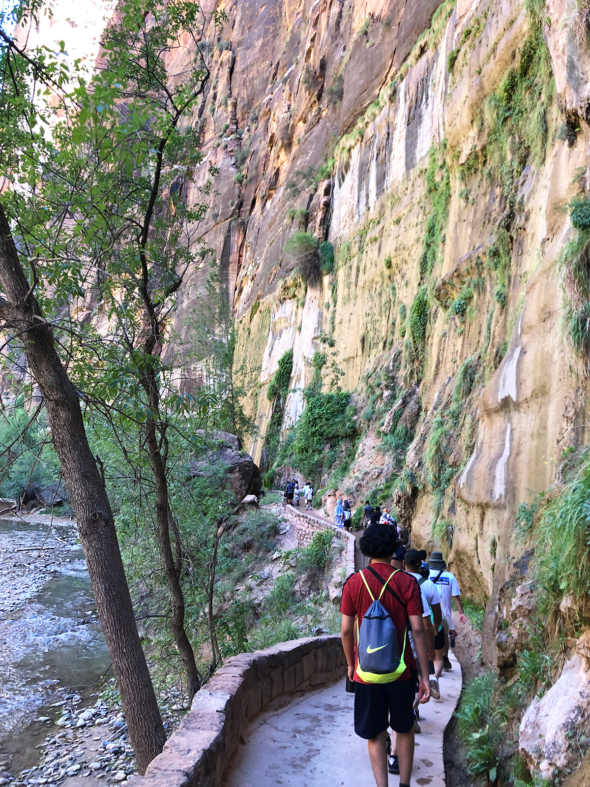 Zion national park with kids narrow hiking trail near cliff and river
