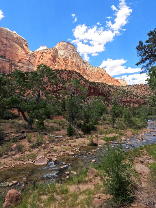 Zion with kids view of river along hiking trail with desert scene in southern Utah