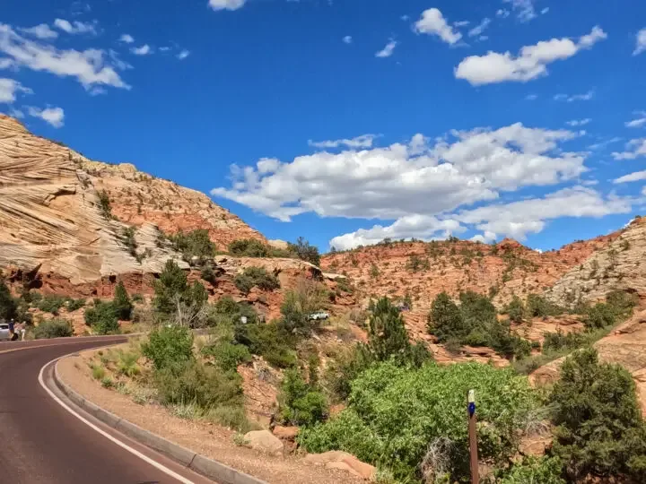 mounds and hills in Zion with road and trees