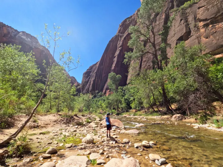 little boy kid near river in Zion canyon