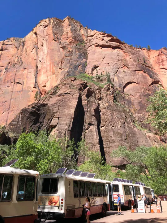 view of Zion shuttle at the Temple of Sinawava