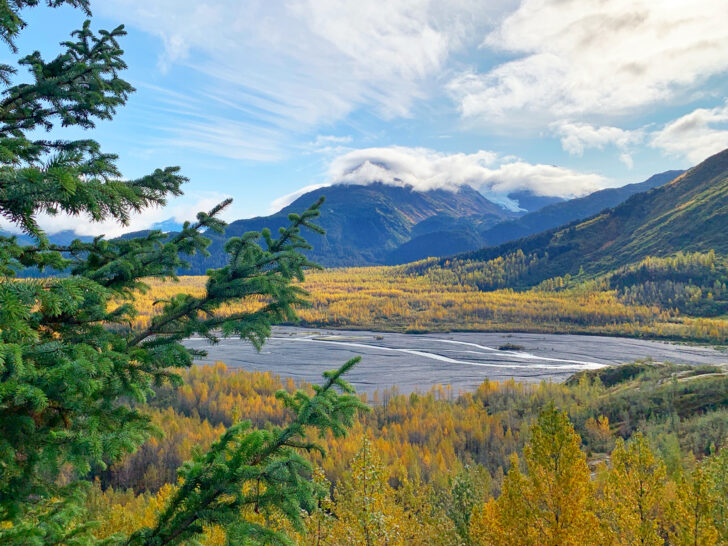 west coast road trip itinerary view of Alaska wilderness trees green and yellow and lake in fall