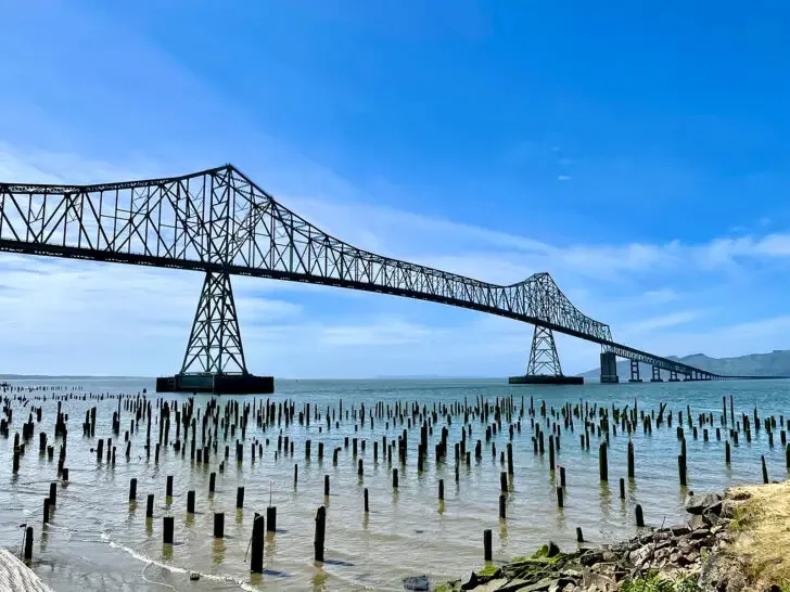 view of coast and bridge in Oregon with poles sticking out of water