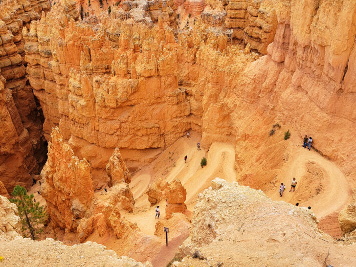 Wall Street Bryce Canyon looking down at zig zag trail between orange rocky spires