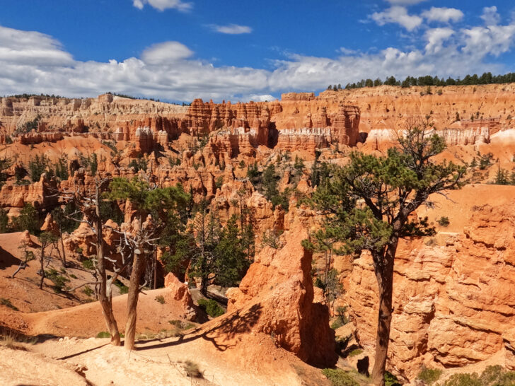 queens garden Navajo loop view of orange rocky spires with trees in foreground and blue sky