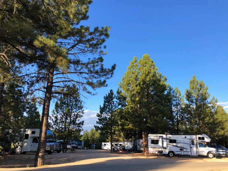 rv campground with motorhomes and trees