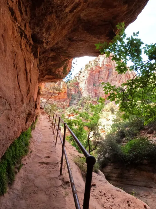 Zion overlook trail view of path with railing near ledge with overhang
